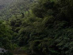-长谷洞天