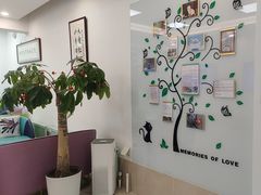 -北京观赏动物医院·24小时大型综合·猫专科·异宠专科