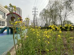 -丹迪兰幼稚园