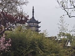 -观潮胜地公园