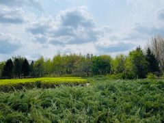 -长春公园(普阳街道)