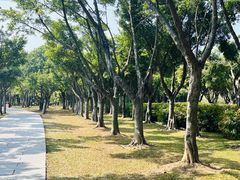 -顺峰山公园