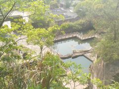 -蛇蟠岛