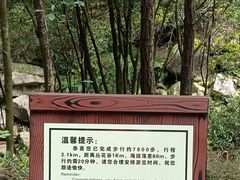 -广州白江湖森林公园