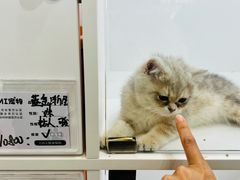 -福田卓悦INTOWN购物中心