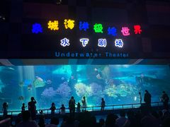 -泉城欧乐堡海洋极地世界