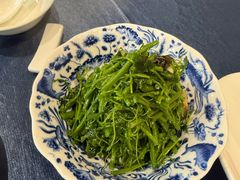 鸡纵菌巧拌辣木苗-香雪海饭店中餐厅(人民桥店)