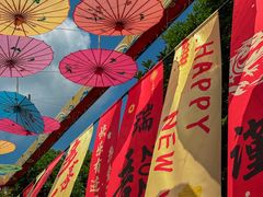 -都江堰玫瑰花溪谷