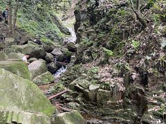 -波尔登森林公园