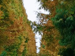 -山王坪喀斯特国家生态公园