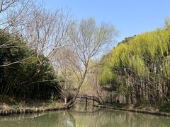 -同里国家湿地公园
