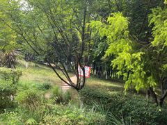 -金海湾滨江公园