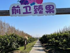 -上海长兴岛郊野公园