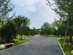 -东郊湿地公园