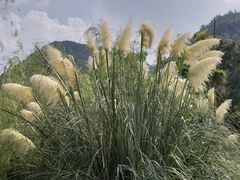 -贵阳市花溪国家城市湿地公园