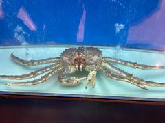 -珍宝海鲜JUMBO Seafood(北京SKP店)