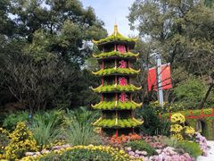 -南山植物园