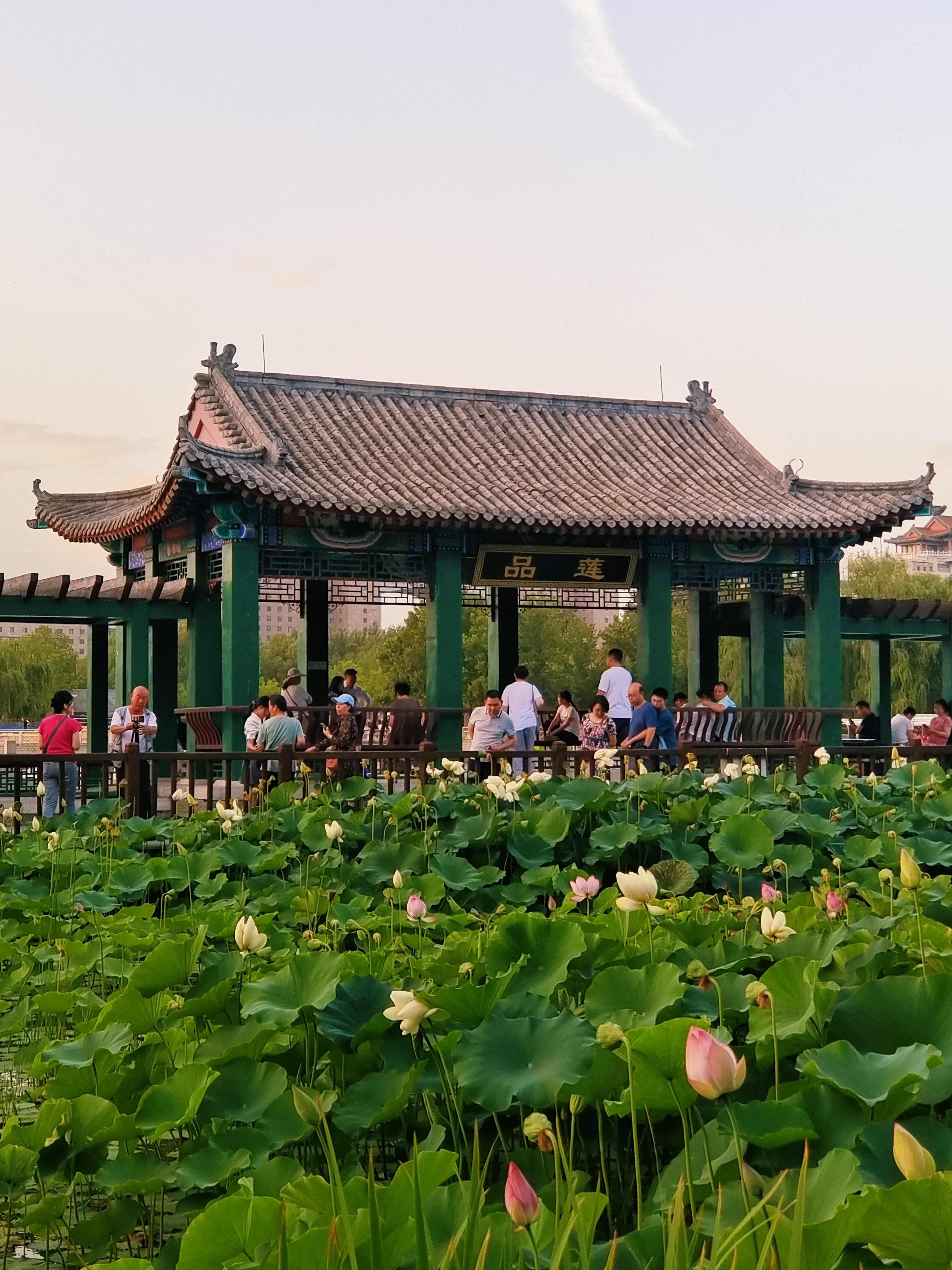 莲花池公园现在越修缮越好,盛夏荷花一开更是一道绚丽风景,此处还有
