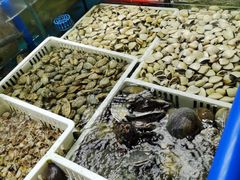 -明本湛江鸡•海鲜小厨(陈家祠店)