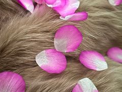 -万象影城(杭州万象城IMAX激光店)