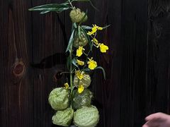-灶咖KITCHEN