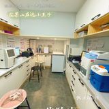 萌兔的一场健康之旅🚢｜关忠动物医院🏥