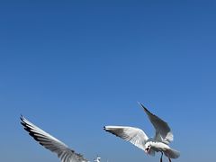 -滇池海埂公园