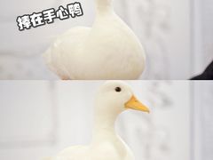 -白夜2D咖啡馆
