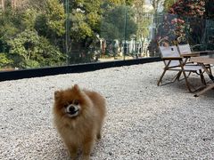 -J Create城市露营咖啡·简餐·宠物(上海动物园店)