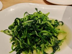 清炒鸡毛菜-湘寶缘(育英中学店)