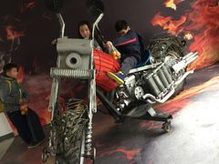 -上海长兴岛郊野公园