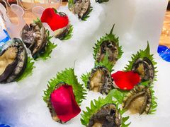 鲍鱼-神洲四海大酒楼(王府井澳门中心店)