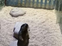-常州海昌海洋探索馆