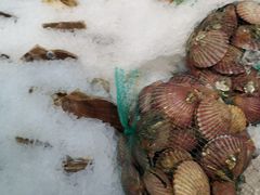 -盒马鲜生(枣园路店)