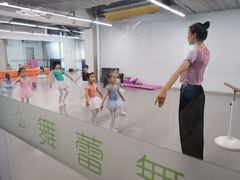 -舞蕾舞蹈·专注中国舞18年(天通苑中心校区)