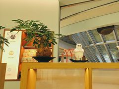 -长风拨筋养身(金虹桥店)