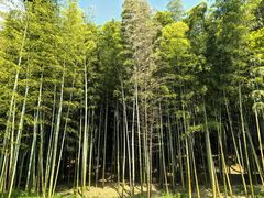-三国水浒景区(无锡影视基地)