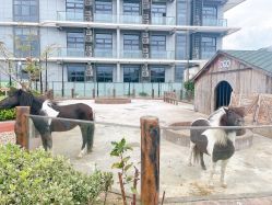 -造物庄园 萌宠纪(苏州湾歌林公园店)