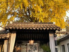 -青果巷历史文化街区