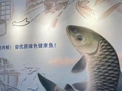 -港升鱼师傅·中山脆肉鲩