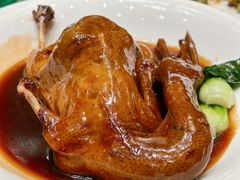 -上海浦东康桥绿地假日酒店