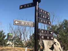 -西海子公园