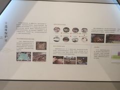 -南越王博物院(王宫展区)