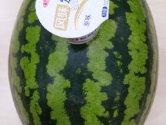-庞各庄翠芳园西瓜蔬菜基地采摘园