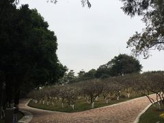 -玉树公园