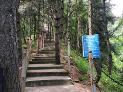 景点-陕西省红河谷森林公园