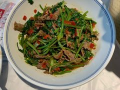 香菜炒牛肉-壹盏灯(蚂蚁工房店)