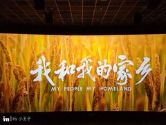 -英皇电影城(英皇集团中心IMAX店)