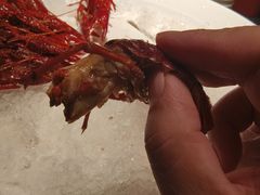 -红盔甲·小龙虾(长寿路店)