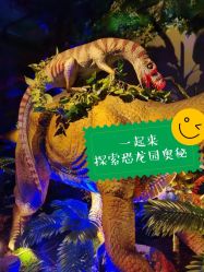 -恐龙探索乐园(磁器口店)